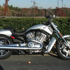 Harley Davidson V-Rod Muscle, silver, motor-bike