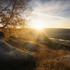 trees, rays of the Sun, Stones, The Hills, autumn, birch-tree, River