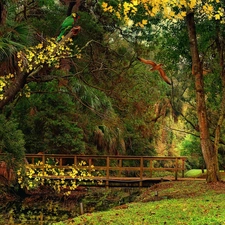 heavenly, bridges, birds, Park