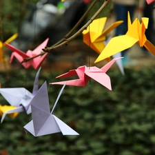 Origami, Cards, birds, color