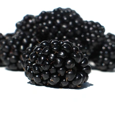 juicy, blackberries