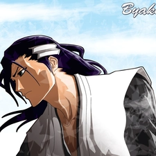 bleach, Byakuya, captain