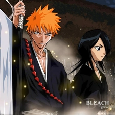 Kurosaki, Characters, bleach, Rukia