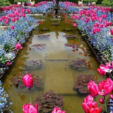 Blue, Forget, Pink, Tulips, fountain