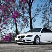 White, BMW M3 Coupe