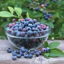 board, leaves, Black, blueberries, bowl