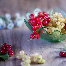 boarding, Leaf, Glass, bowl, currants