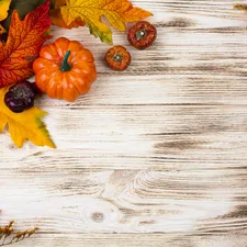 Plants, boarding, pumpkin, dry, Leaf