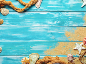 line, starfish, Blue, boarding, Sand, Shells