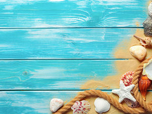 line, starfish, Blue, boarding, Sand, Shells