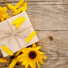 flakes, Flowers, twine, boarding, Present, decorative Sunflowers