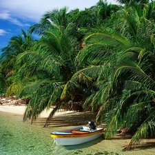 Sky, Palms, Boat, sea