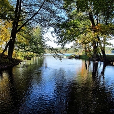 boats, autumn, trees, viewes, River