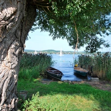 Willow, lake, boats, cork