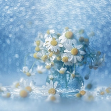 Flowers, chamomile, Bokeh, decoration, vase, White