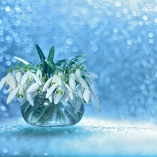 White, decoration, Bokeh, vase, Flowers, snowdrops