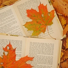 Book, autumn, Leaf