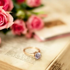 Book, roses, Ring