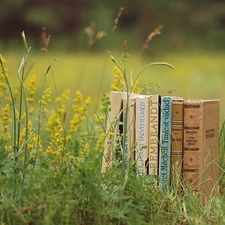 Books, Meadow, Flowers