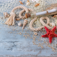 string, Bottle, starfish, Shells, composition