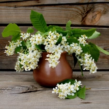 Flowers, Vase, bouquet, White