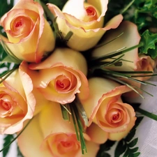 bouquet, green, roses