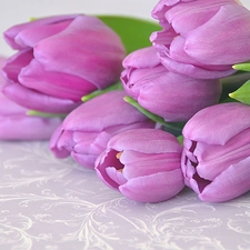 bouquet, purple, Tulips