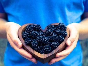 bowl, Women, blackberries