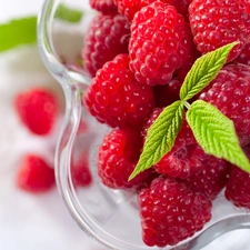 bowl, raspberries, leaf