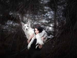 Women, Border Collie, branch pics, dog