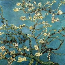 in, Bloom, Almond, Branches, Vincent Van Gogh