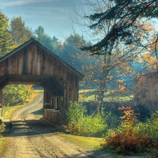 bridges, autumn, Windmill, water, forest