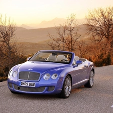 skin, Bentley Continental GTC, Bright