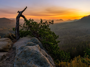Mountains, Great Sunsets, Bright, pine, trees, rocks