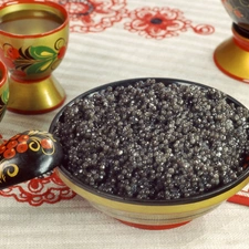 caviar, dish, bucket, russian