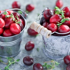 Buckets, cranberry, Tin