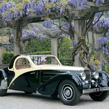 Bugatti 57 Atalante Roll Back