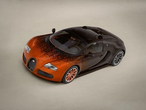 Bugatti Veyron Grand Sport Venet