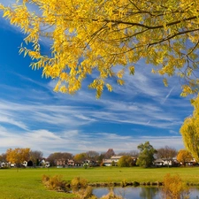 buildings, Pond, Meadow