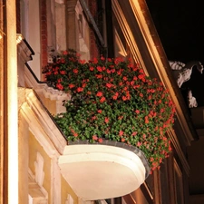 buildings, flowered, Poznań, old town, Night, Balcony