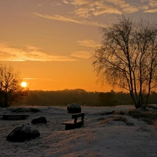 viewes, sun, Bench, trees, west, Bush, snow