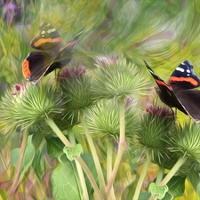 graphics, plant, teasel, butterflies