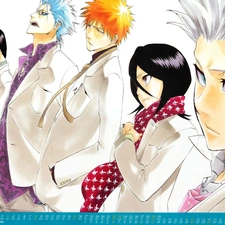 bleach, Calendar