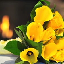 calla, bouquet, yellow