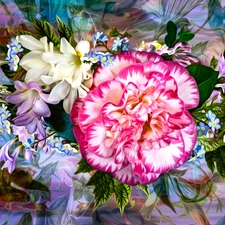 Flowers, leaves, graphics, camellia