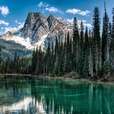 Mountains, Yoho National Park, trees, woods, clouds, Canada, British Columbia, Emerald Lake, lake, Stones, viewes