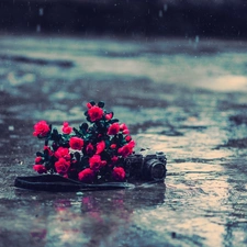 Camera, Red, Canon, Rain, photographic, roses