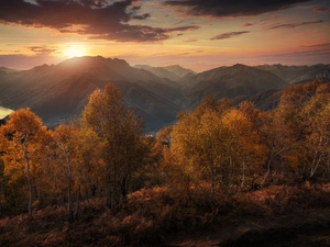 Alps Mountains, Lake Maggiore, Great Sunsets, trees, autumn, Ticino Canton, Switzerland, viewes