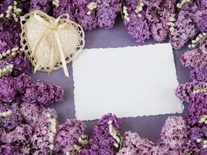 Heart, card, without, Lace, Flowers