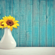 Blue, boarding, Two cars, decorative Sunflowers, vase